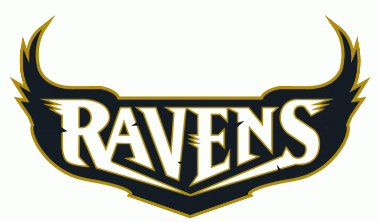 Baltimore Ravens 1996-1998 Wordmark Logo fabric transfer version 3